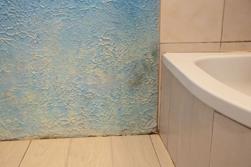 Water Damage Ceiling Repair in Denver County, CO